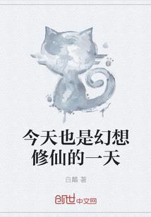 吸引暗物质流