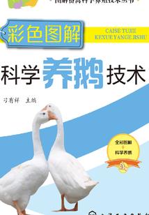 我真是神N代