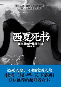 大唐：安西最后一个信使