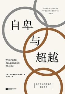 光与阴霾