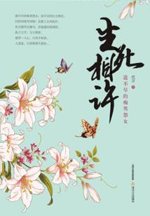 奈叶同人之旋奏