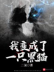 名侦探柯南之夜月