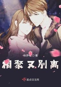 笨蛋你好