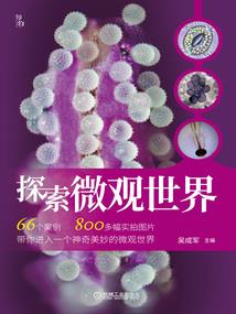 寒武纪之我们依旧