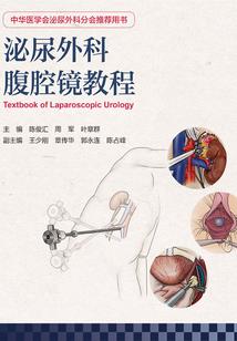 紫魅的复仇之旅