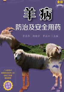 破动苍穹