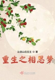 红灯宝树