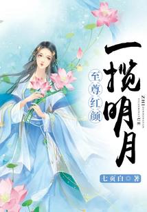 佳人如水：天下倾（完结）