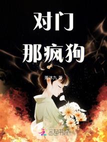 代码世界：初始战争