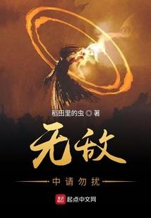 《黑客修真路》