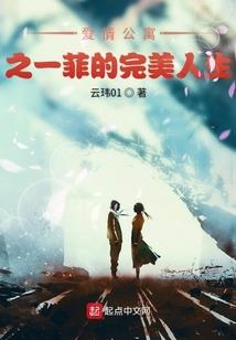 定秦风云