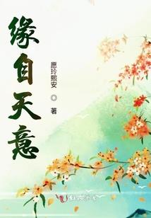 黑客少女的霸道长官