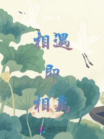 焚缘记