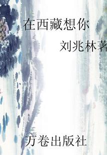 最垃圾系统