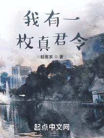 少年黑客