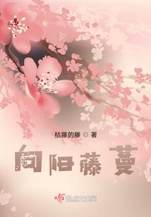 日记之六