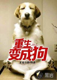 阿呆的春天