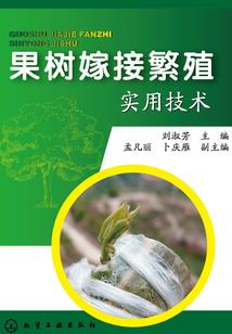 盗梦系统之闫二爷