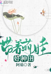 风起云殇