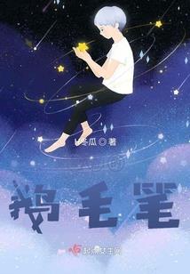 神兵小将之南宫天磊