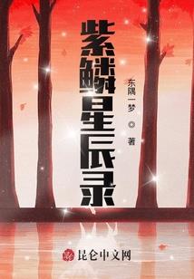 公主的恋爱曰记