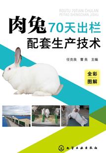缘爱朝朝暮暮