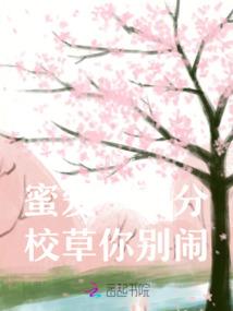 岚川