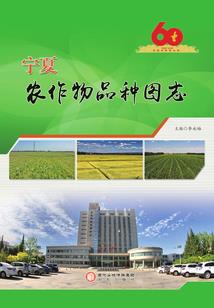 金马刀玉步摇