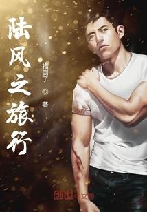 那晚掉落的星星