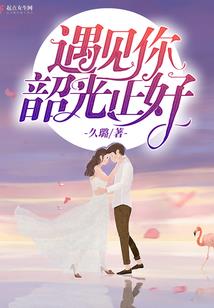 人在原神，系统火影