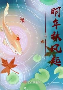 重生三国之锦帆甘宁