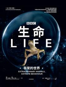 我为青春做主