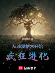 光与影的守护者