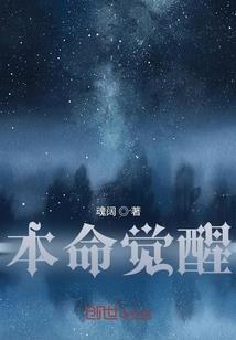 冰剑寒雨