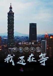 风尘长路