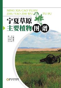 死神继承人