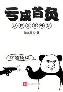 全职法师之防御法师