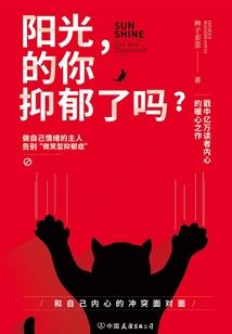 孟少保传奇