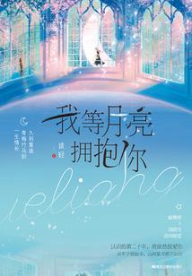 鸟的天空