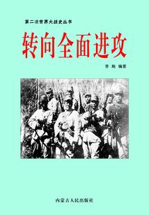 蓝眼少年：光年