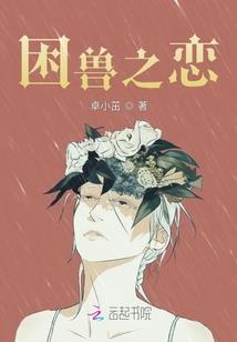 笑傲苍穹之异世为王