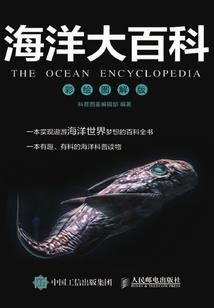 天书奇事