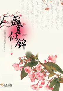 司