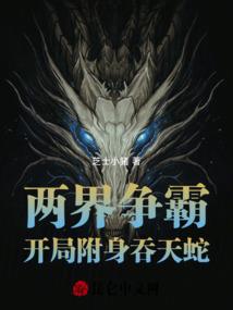 冷剑皇上女侠妃