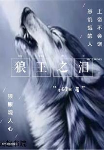 战争领主(合作)