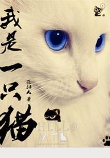 一生只参加一次婚礼