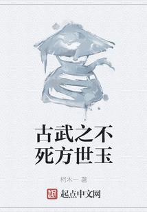 逆天灵韵