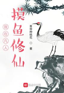 金宇市长之旅