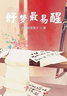 天地为剑，我为帝