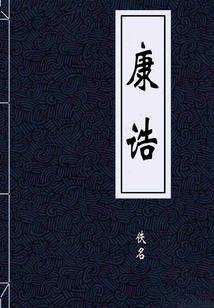宝可梦之波导少年